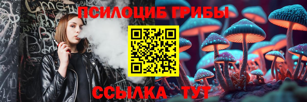 Псилоцибиновые грибы Psilocybine cubensis  Вход с VPN  Псилоцибиновые грибы мицелий  Зеленодольск 