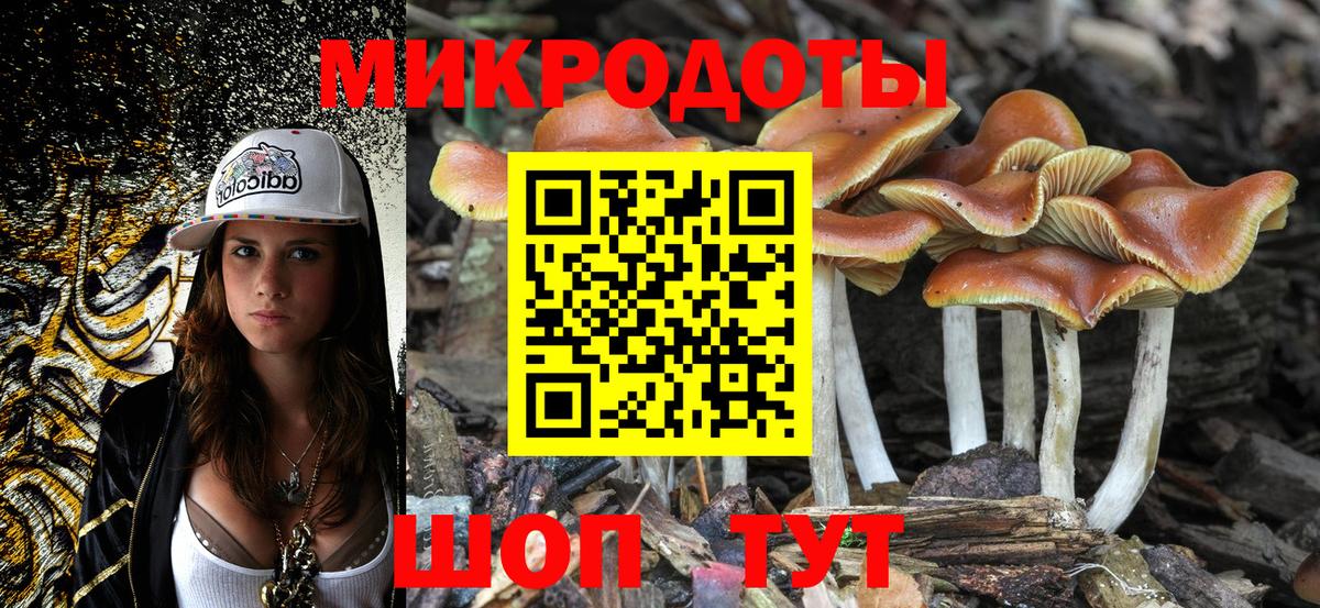 Псилоцибиновые грибы Psilocybine cubensis Зеленодольск